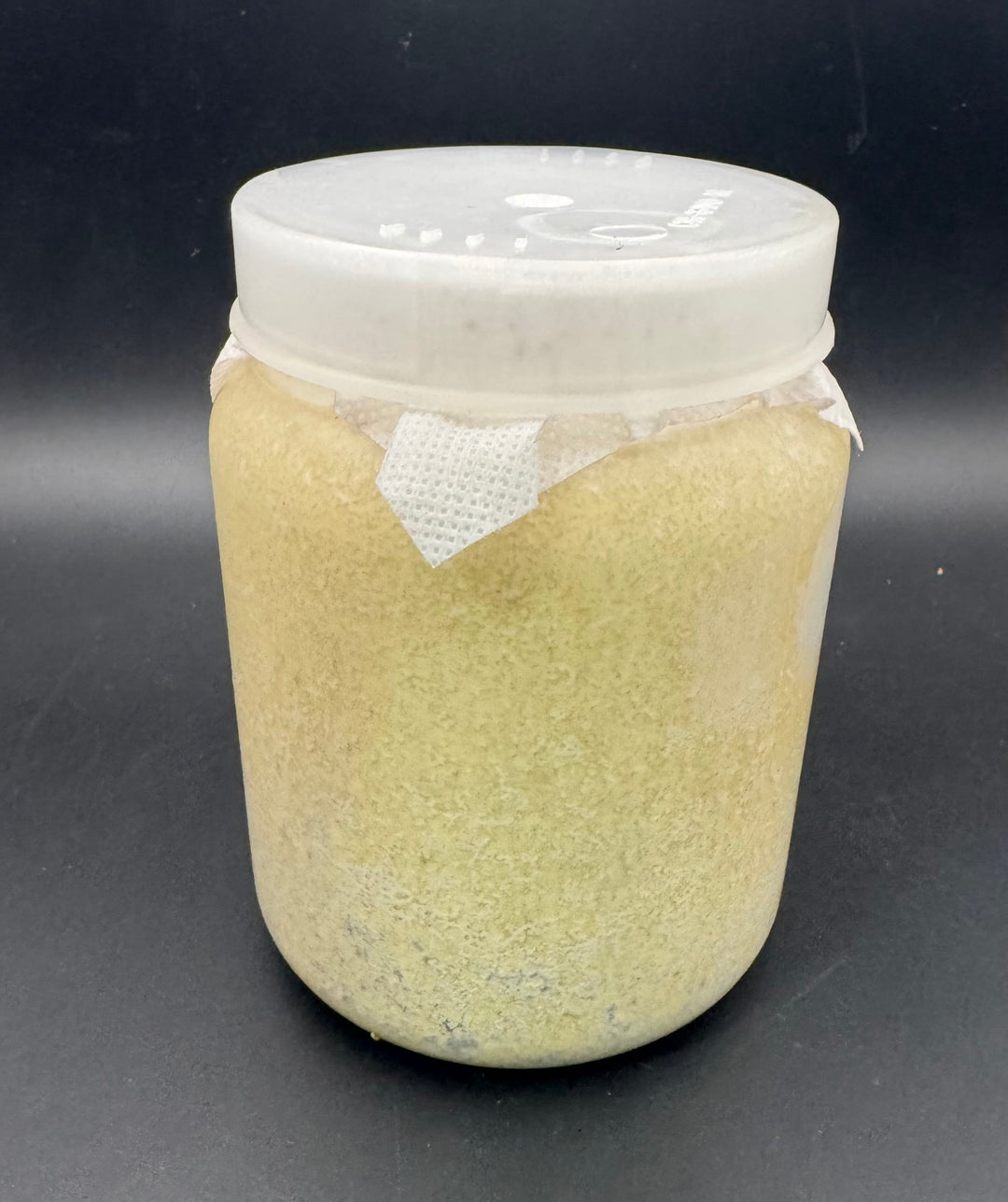 【月光】カワラ菌糸 800cc