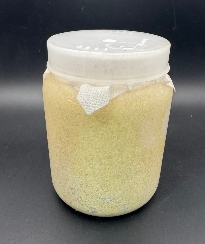 【月光】カワラ菌糸 800cc