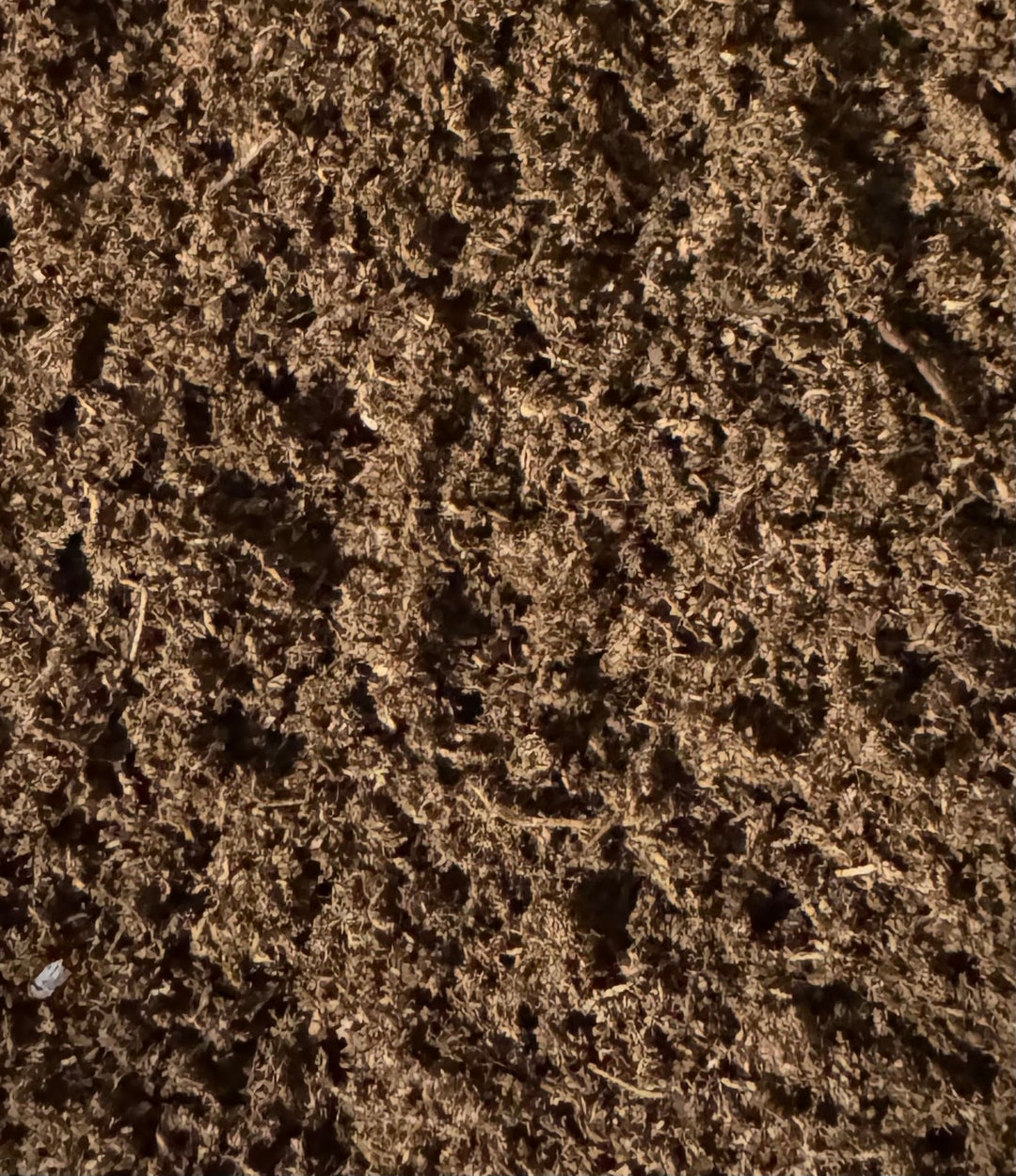 【ラトビア産】ピートモス微粒子マット 10L