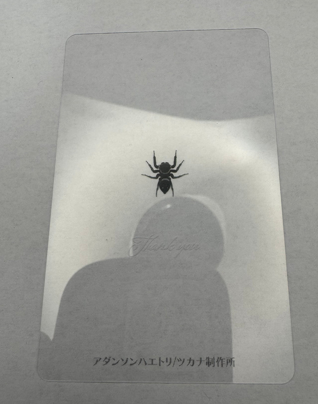 Thank you クリアカード 5枚入り（アダンソンハエトリ）