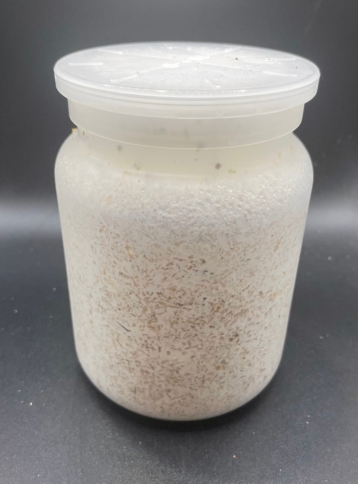 北海道産ブナ100%オオヒラタケ菌糸ボトル800cc