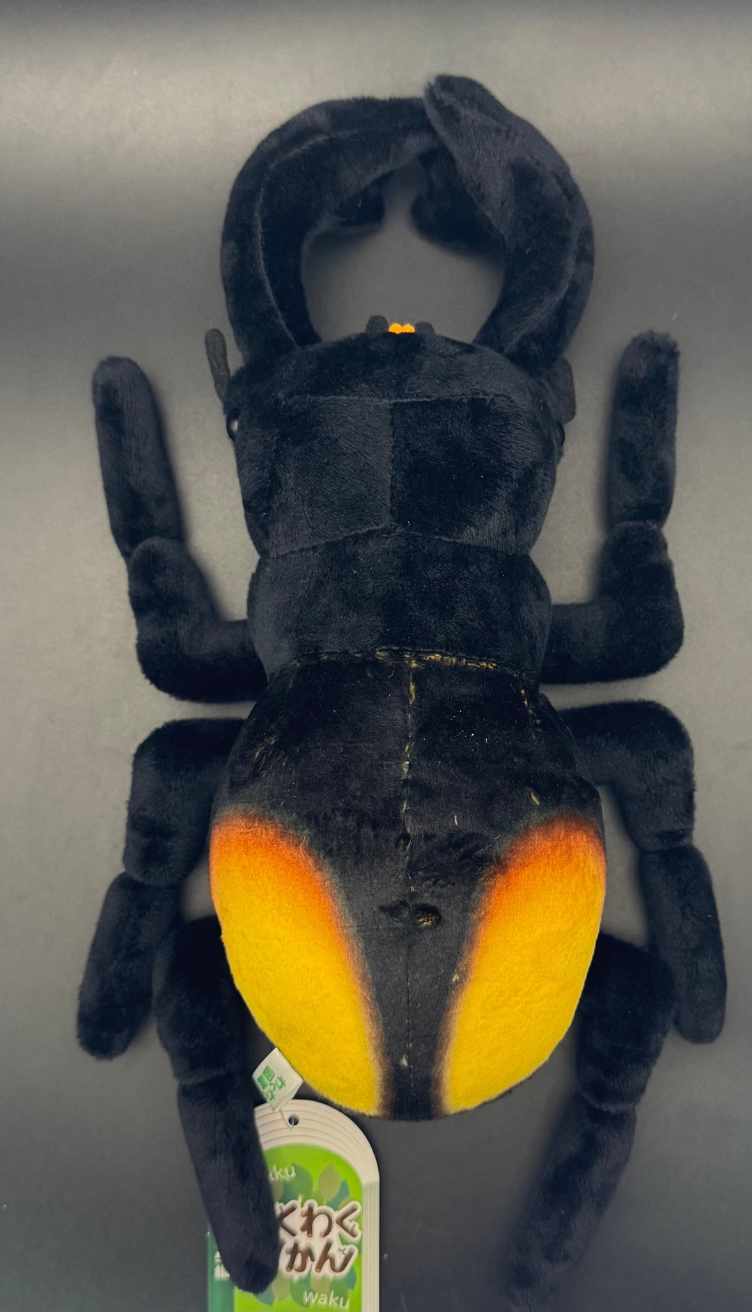 わくわく図鑑 パリーフタマタぬいぐるみ中