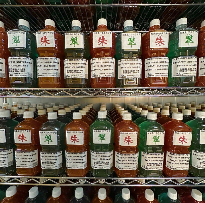 【翠】超濃度バクテリア液 1,000ml