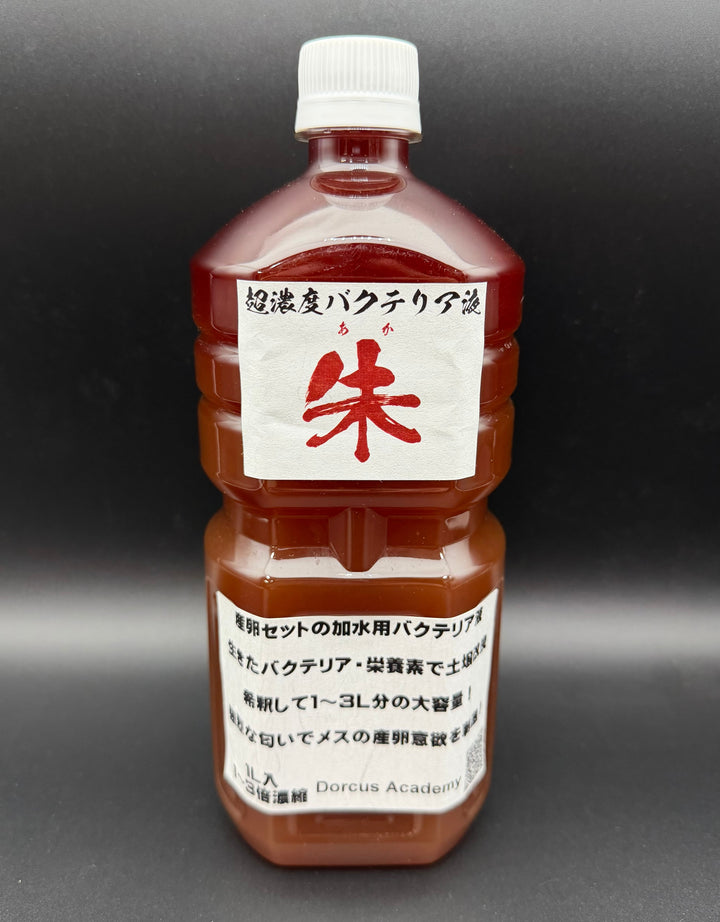 【朱】超濃度バクテリア液 1,000ml