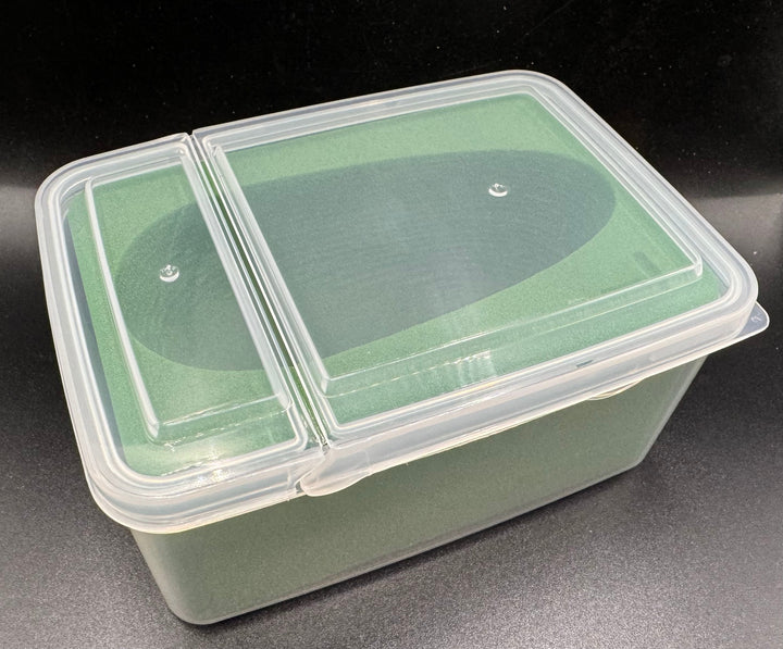 【ケース付】人工蛹室　オアシス（大）