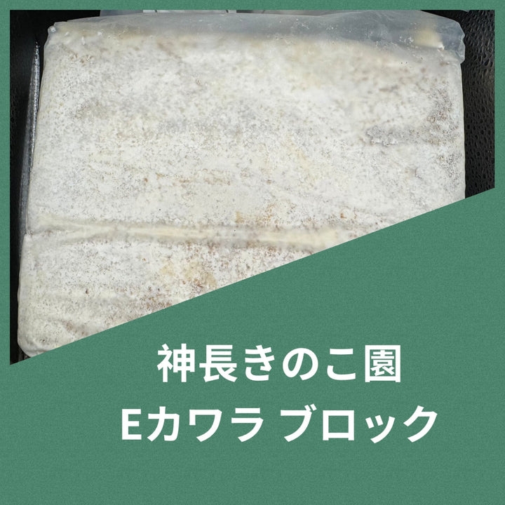 Eカワラ ブロック