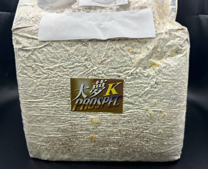 大夢Kブナ カワラ ブロック 4200cc