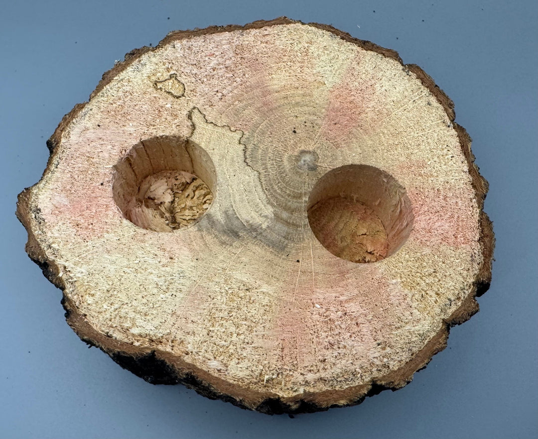 広葉樹エサ皿 16g 2穴