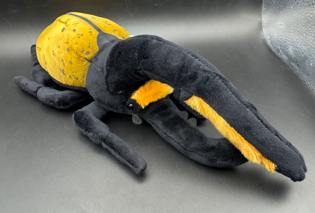 わくわく図鑑 ヘラクレスぬいぐるみ中