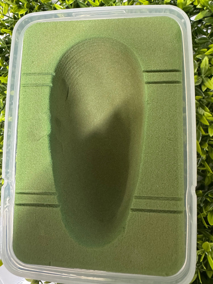 【B品】【ケース付】人工蛹室　オアシス（レギュラー）