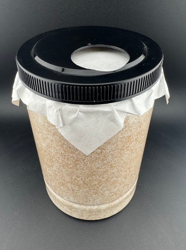 グリードSL（低添加微粒子） 産卵菌床 黒フタ 1L