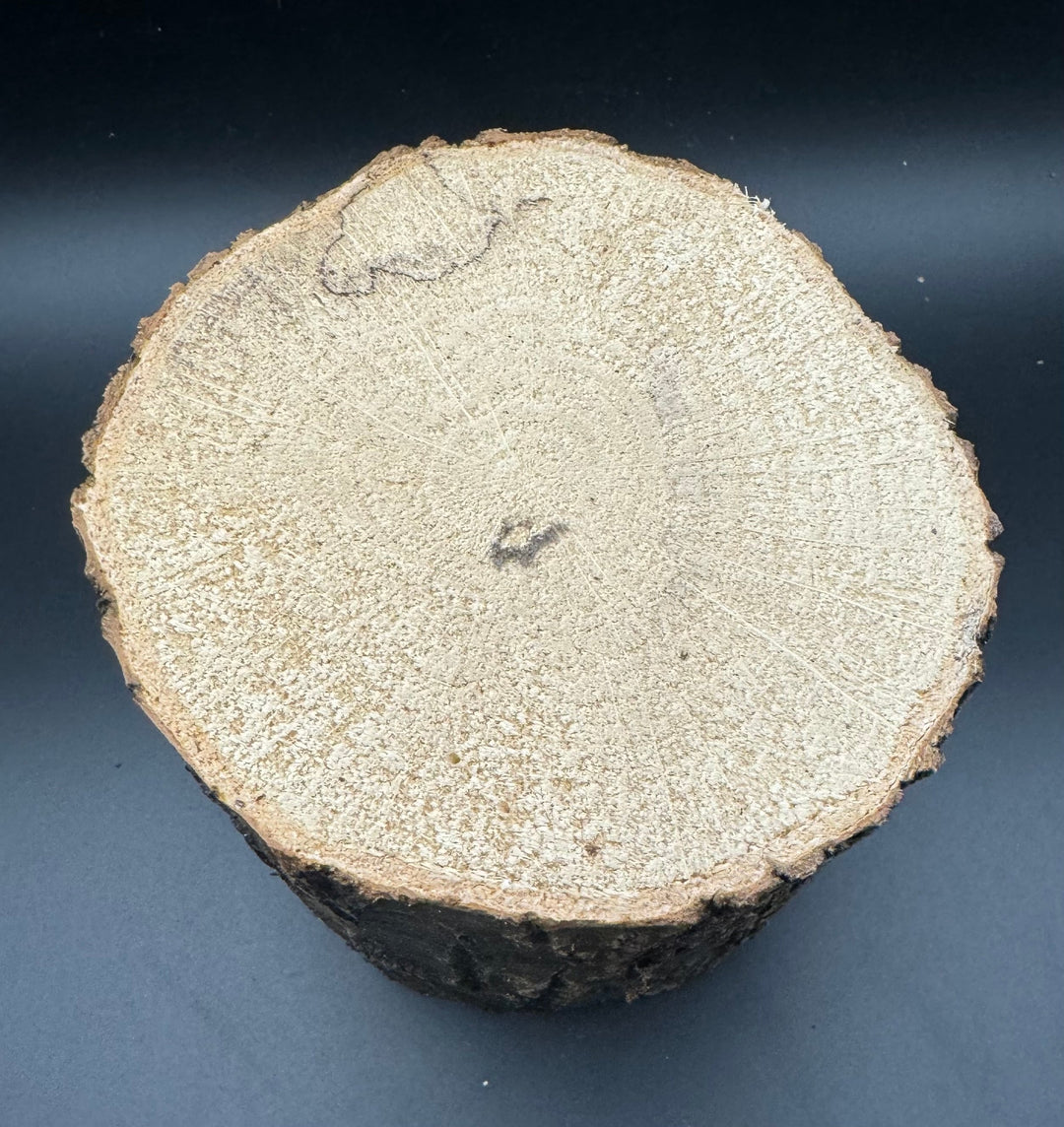 SB材 LLサイズ 1本