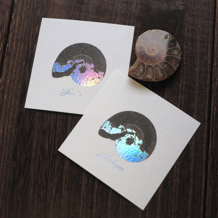 Thank you カード 5枚入り（アンモナイト）