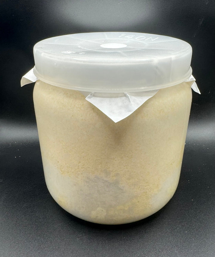 ルカディア 1400cc