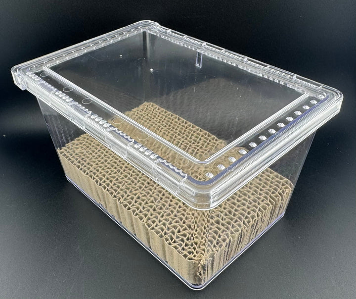 【ペアリング用】お見合いケース