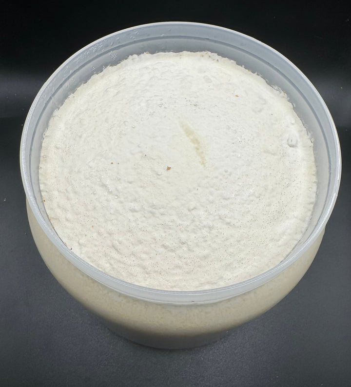 ルカディア 1400cc