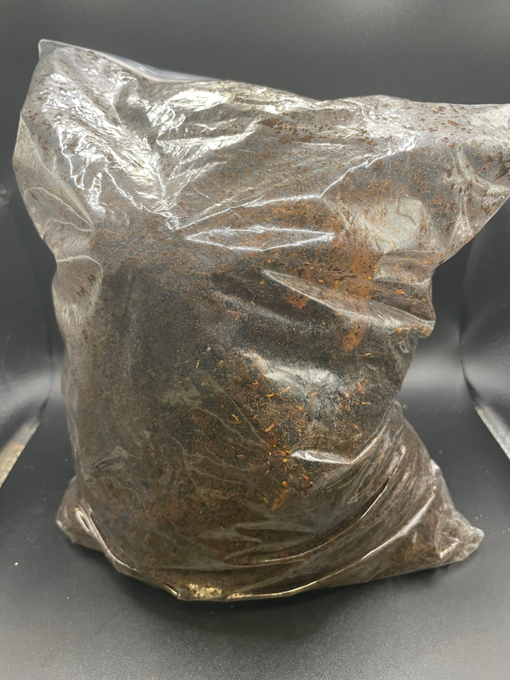 バクテリア材 産卵木Mサイズ1本入り