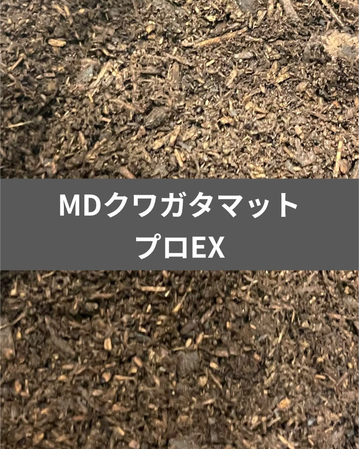 MDクワガタマットプロEX 10L