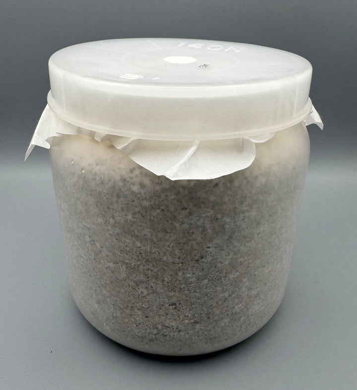 【5本セット】産卵用レイシ 1400cc（マンネンタケ）