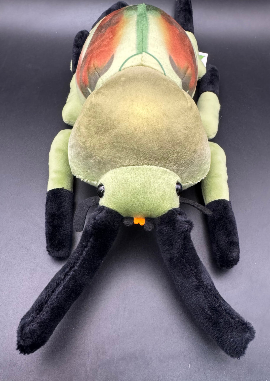 わくわく図鑑 ニジイロクワガタぬいぐるみ中