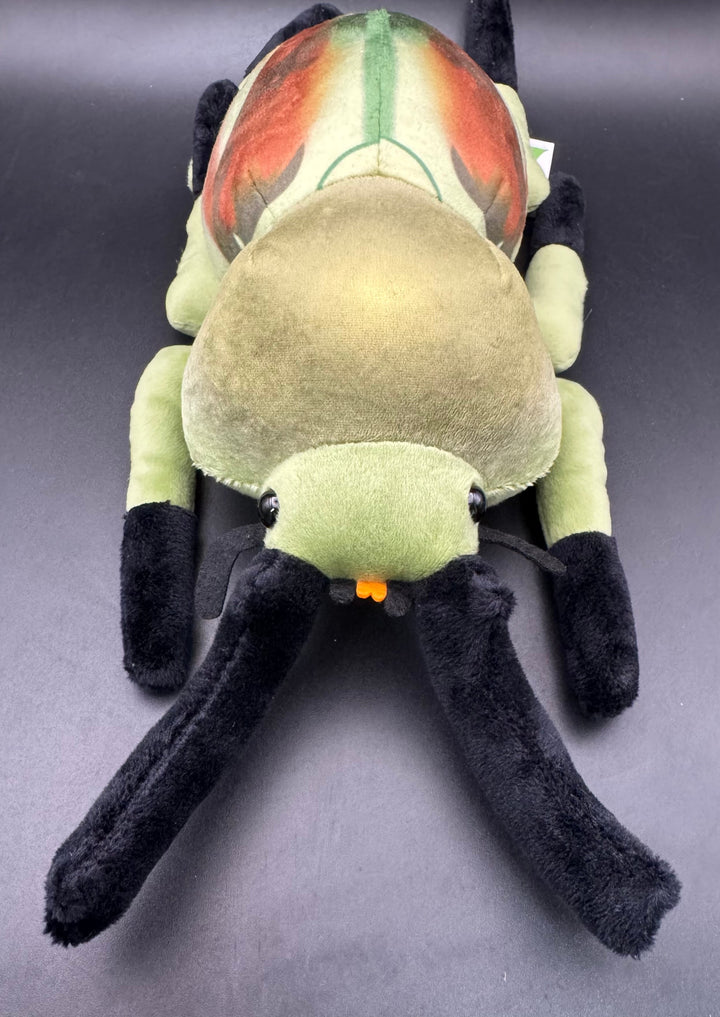 わくわく図鑑 ニジイロクワガタぬいぐるみ中