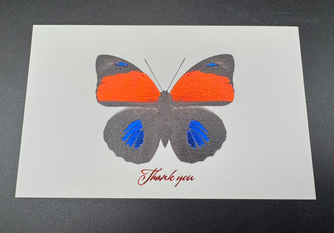 Thank you カード 5枚入り（アグリアス）