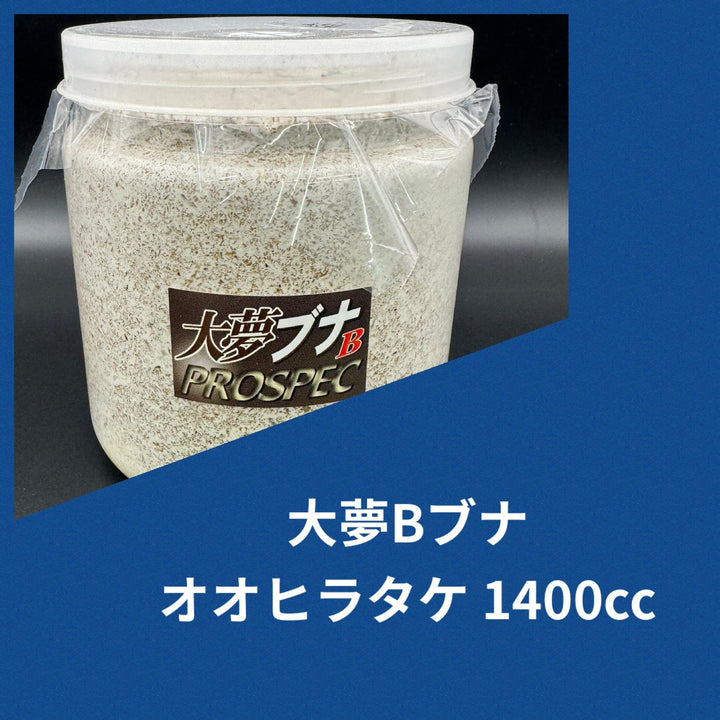 大夢Bブナ オオヒラタケ 1400cc