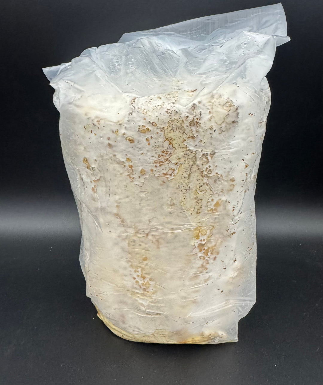 【5本セット】レイシ産卵棒 1本入り