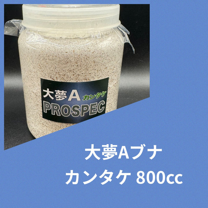 大夢Aブナ カンタケ 800cc