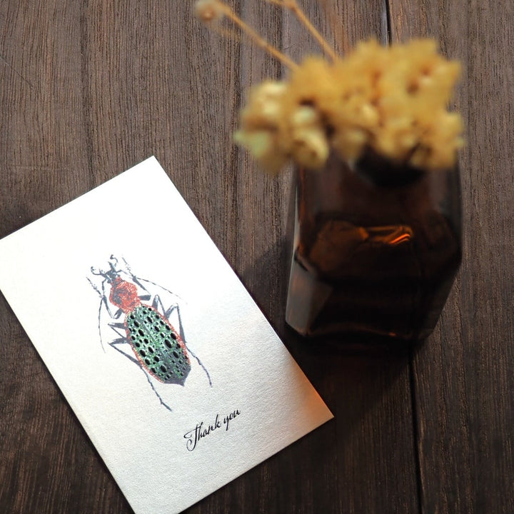 Thank you カード 5枚入り（シナカブリモドキ）