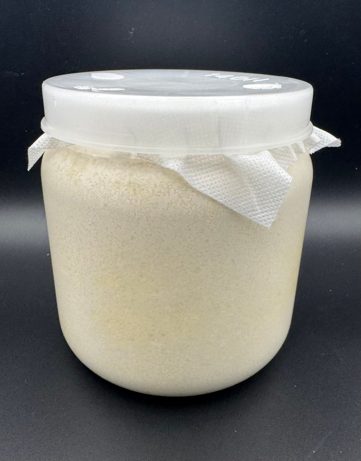 カワラタケ菌糸UGONDO ブナ100% ボトル1400cc