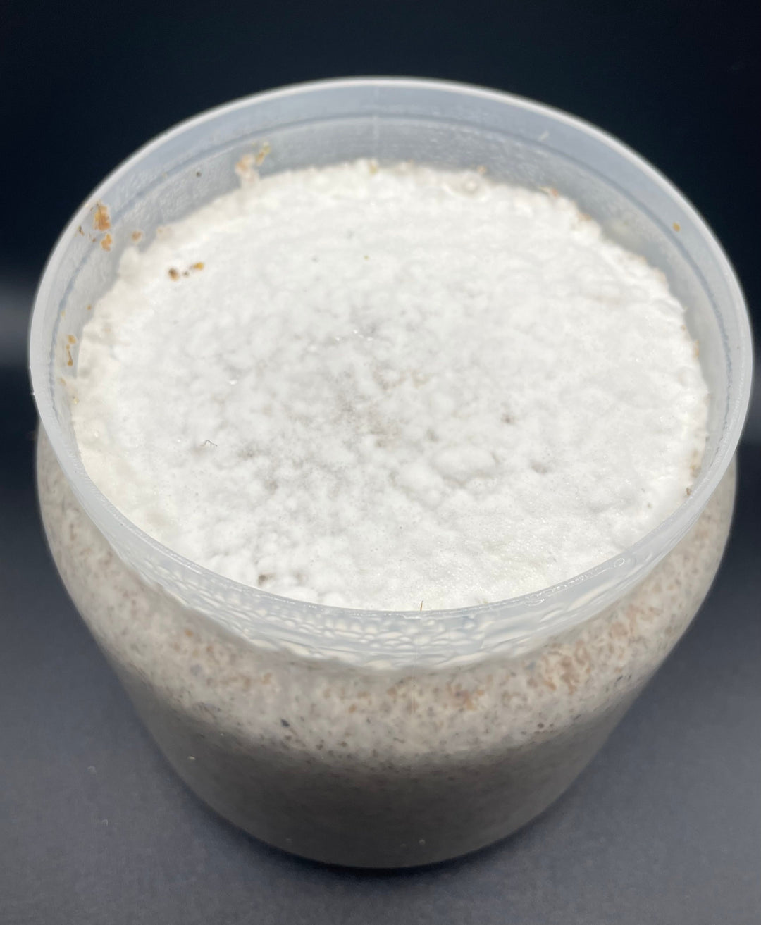 【12本セット】カワラタケ菌糸ボトル1400cc