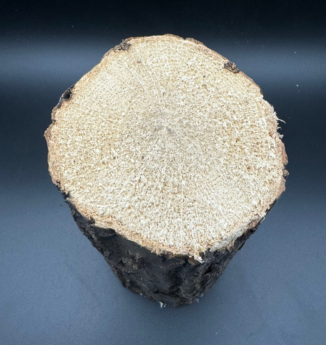 SB材 Lサイズ 1本