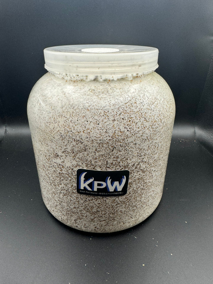 【KPWオリジナル】オオヒラタケ菌糸ボトル 3200cc