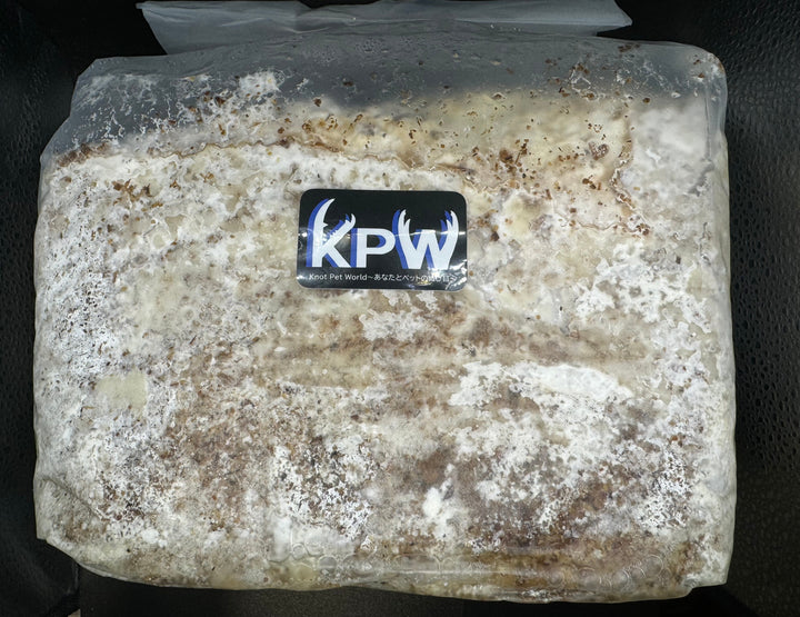 【5袋セット】【KPWオリジナル】カワラタケ ブロック 4000cc