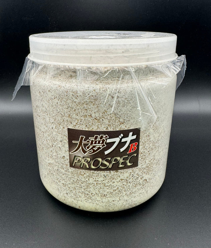 大夢Bブナ オオヒラタケ 1400cc