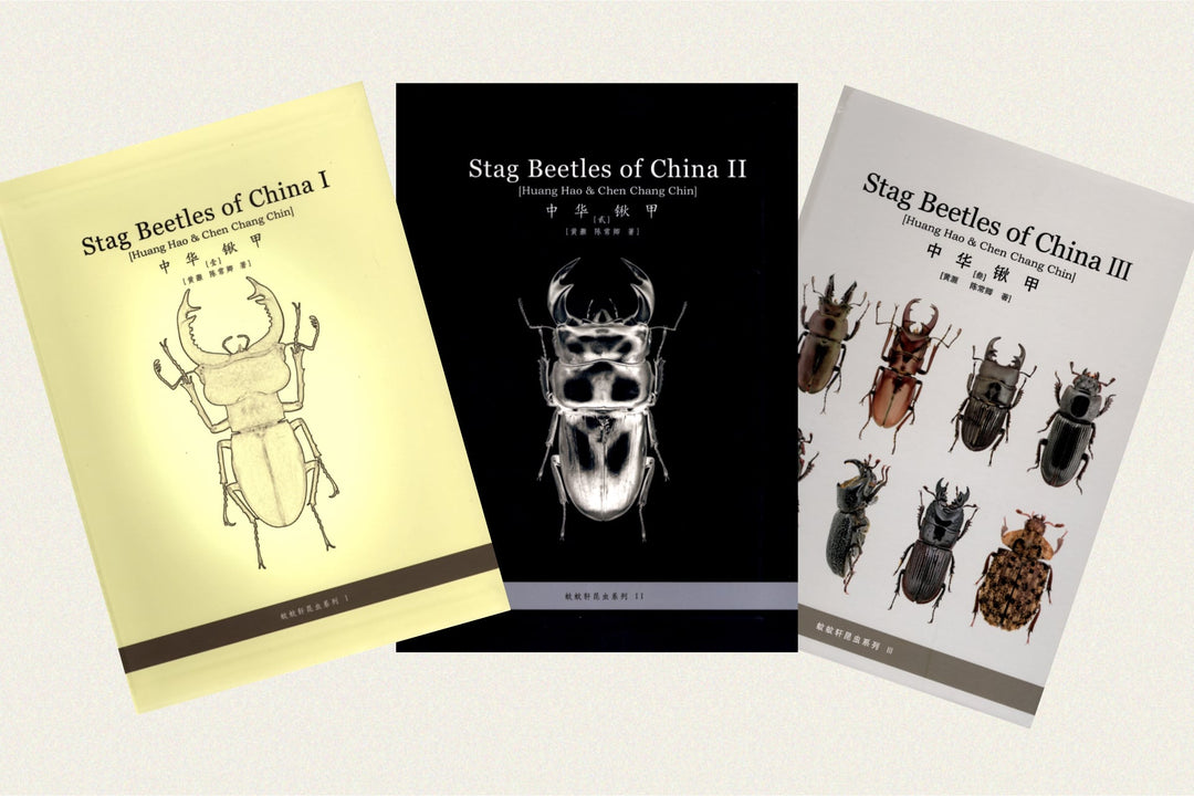 Stag Beetles of China 中華鍬甲 Ⅲ