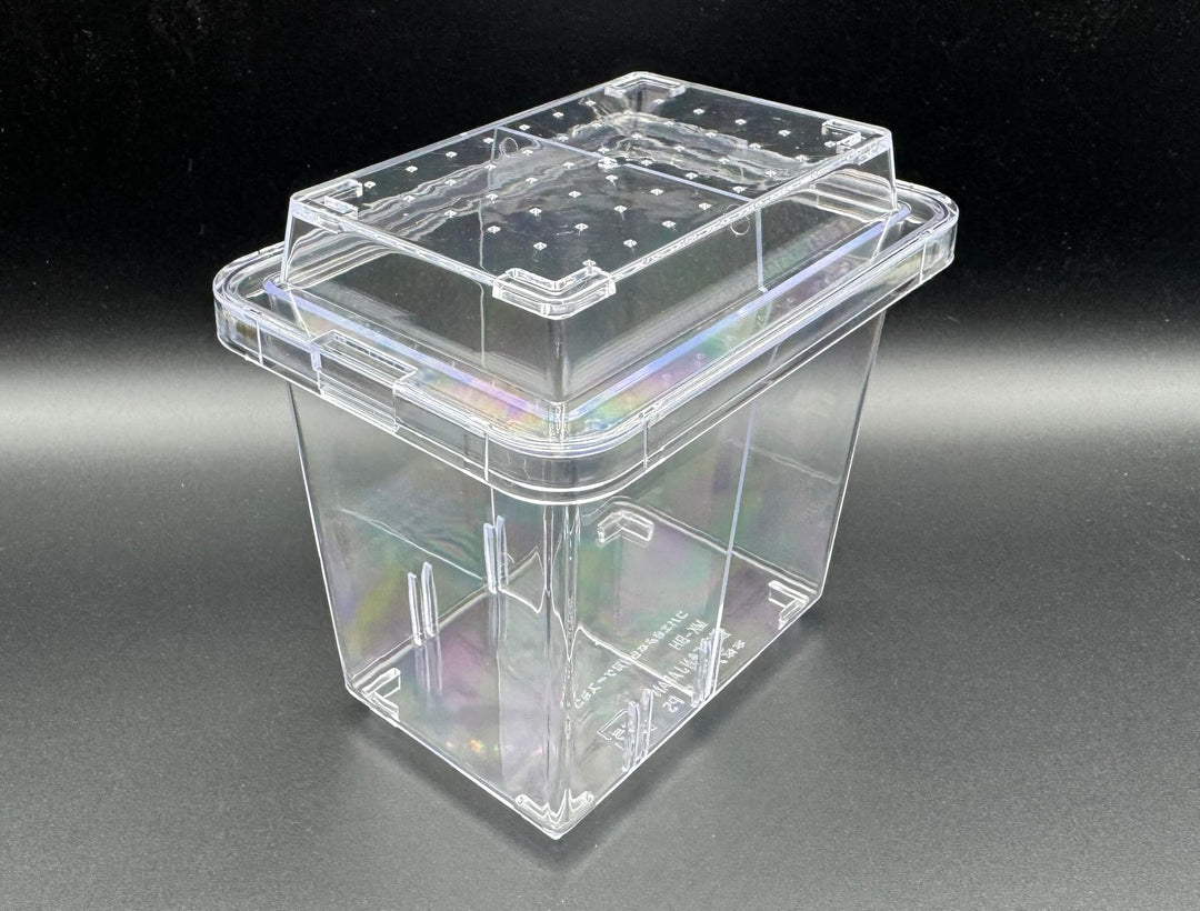 コバエさよなら飼育ケース ミニ（セパレーター付）