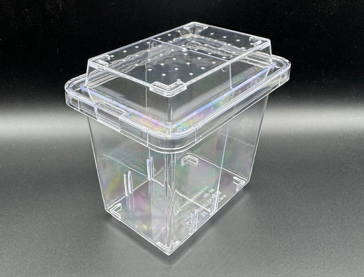 コバエさよなら飼育ケース ミニ（セパレーター付）