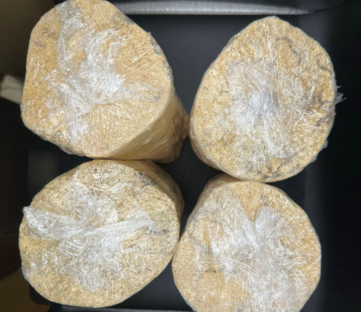 VN材（ベトナム材）Mサイズ 1本