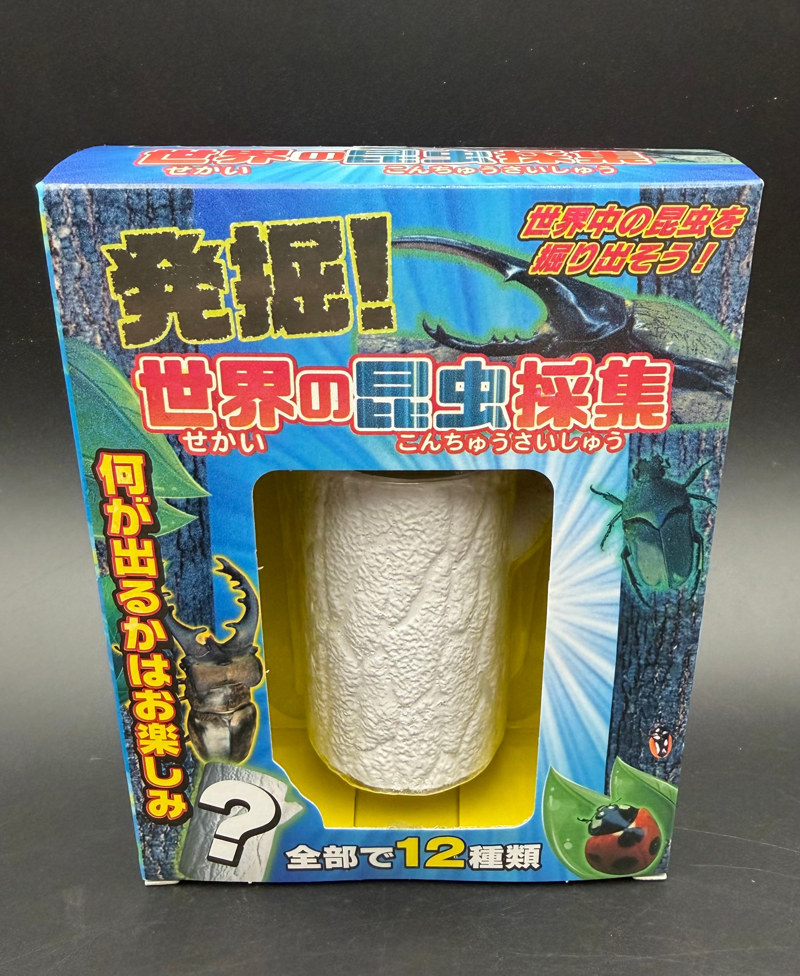 発掘！世界の昆虫採集 No.206-634 – KPW公式オンラインショップ