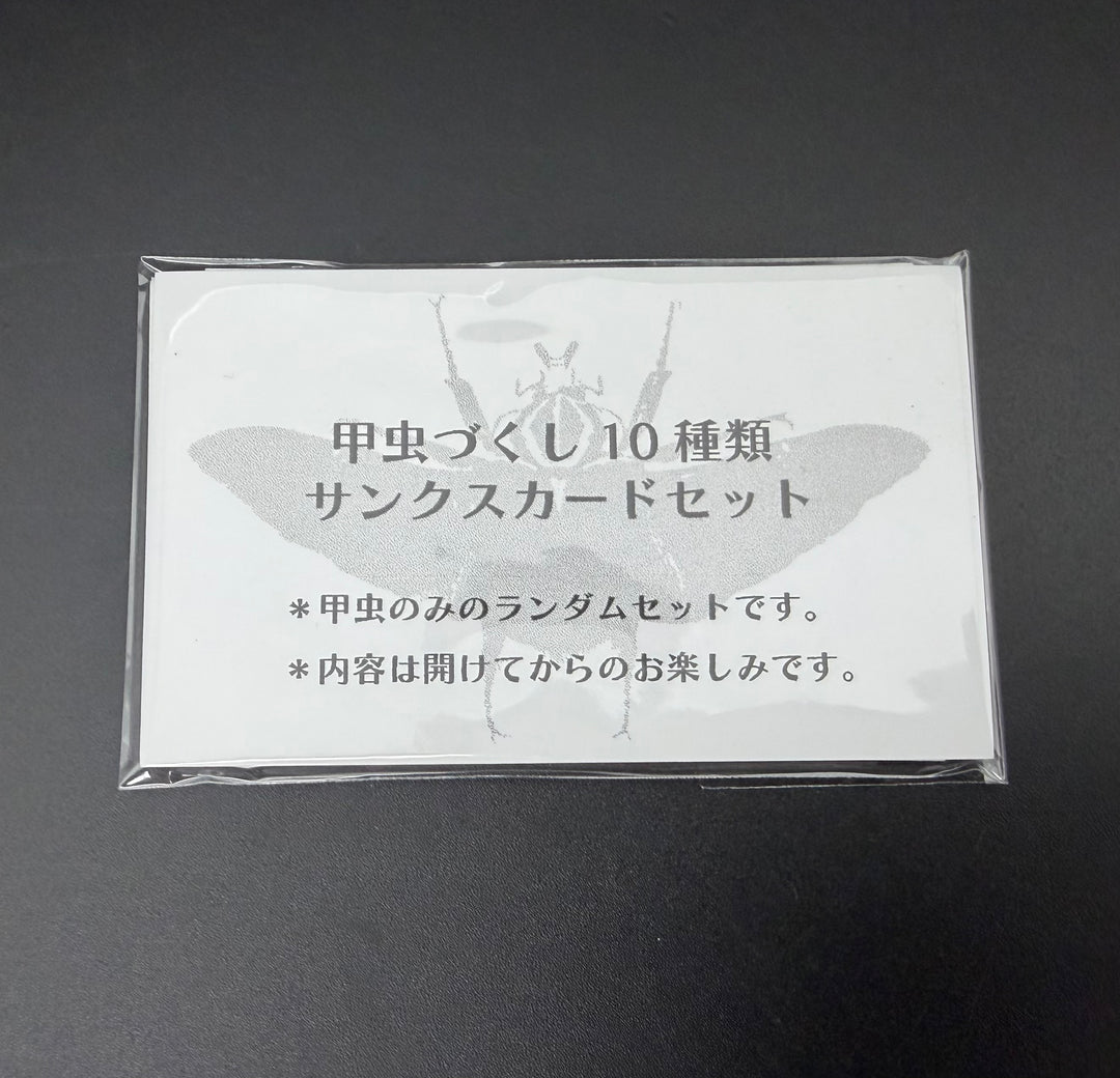 甲虫づくし10種類サンクスカードセット