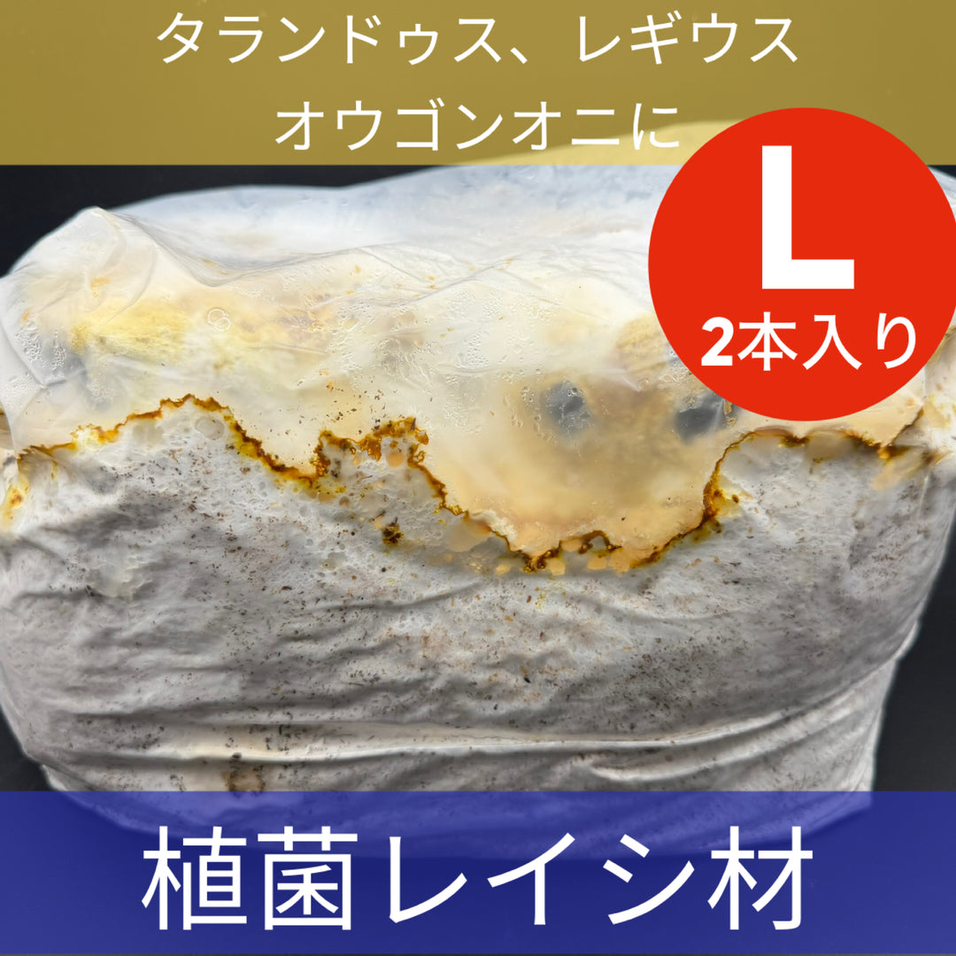植菌レイシ材　L-2Lサイズ２本入