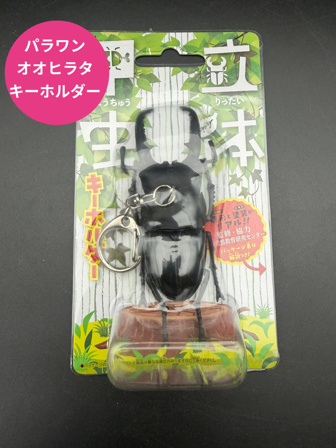 立体昆虫キーホルダー パラワンオオヒラタ