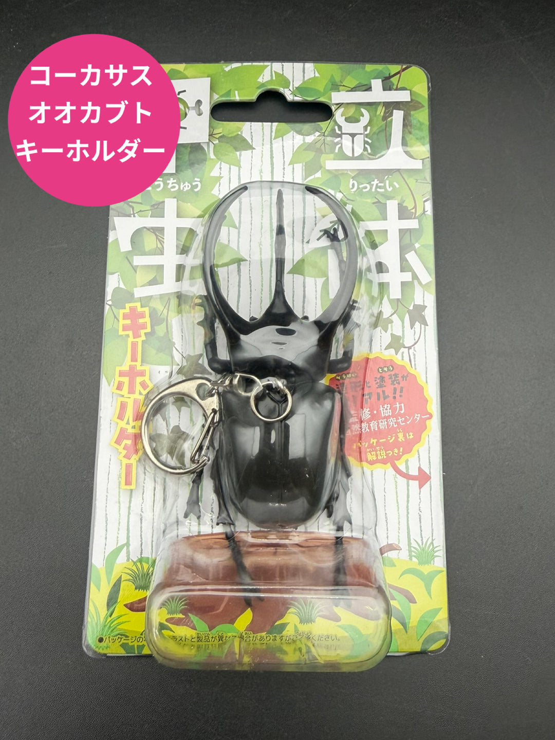 立体昆虫キーホルダー コーカサスオオカブト
